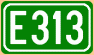 E313